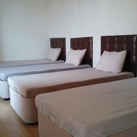 Shamlioglu Furnished Apartment 2 Апартаменты *